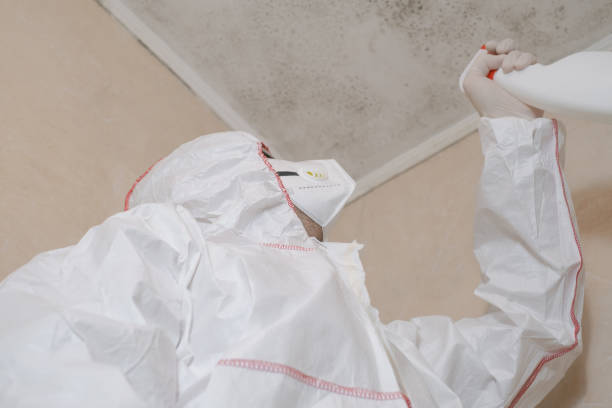 Best Residential Mold Remediation in Sioux Falls, SD